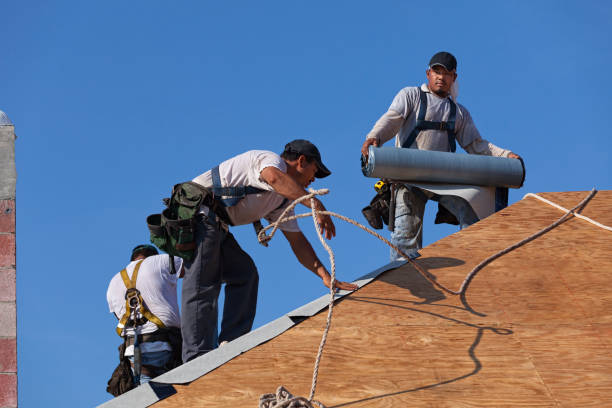 Quick and Trustworthy Emergency Roof Repair Services in Mosheim, TN