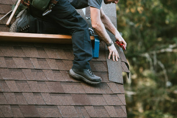 Best Roof Gutter Cleaning  in Mosheim, TN